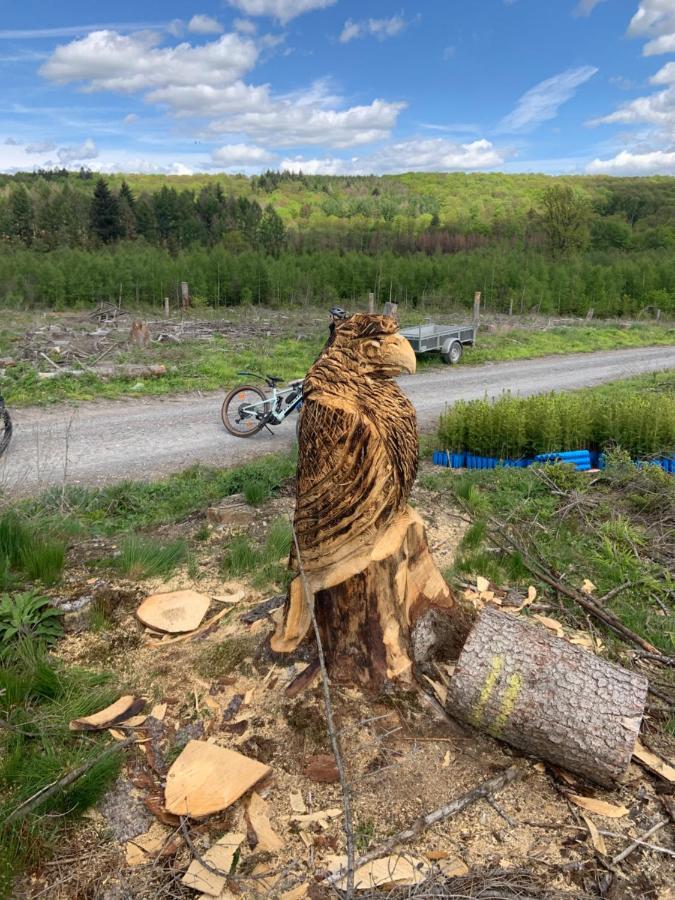 Wohnung Direkt Am Wald Warstein Eksteriør billede